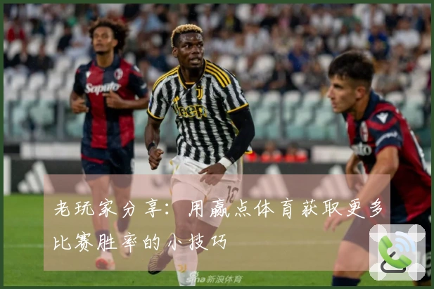 老玩家分享：用赢点体育获取更多比赛胜率的小技巧