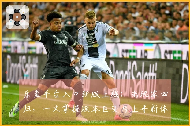 乐鱼平台入口新版上线：老玩家回归，一文掌握版本巨变与上手新体验